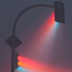 Meet your Posher, Dylan